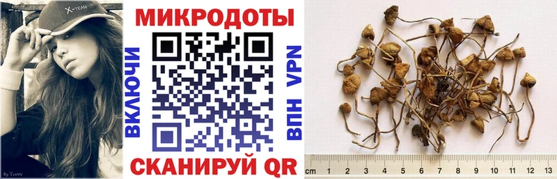 Псилоцибиновые грибы Psilocybine cubensis  где купить наркоту  Красновишерск 